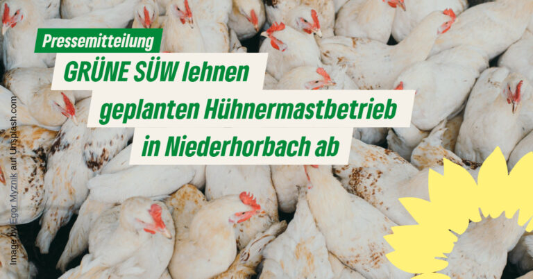 GRÜNE SÜW lehnen geplanten Hühnermastbetrieb in Niederhorbach ab