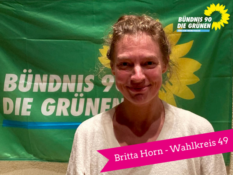 Britta Horn, Kandidatin von Bündnis 90/Die Grünen für den 18. Landtag