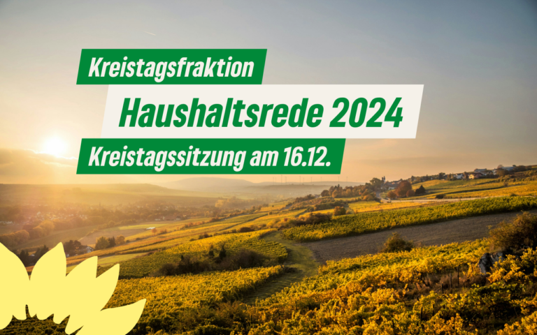 Stellungnahme der Kreistagsfraktion – die Haushaltsrede 2024