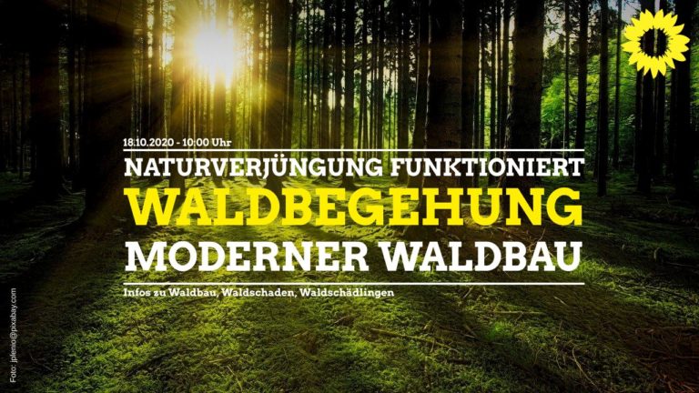 Waldbegehung am 18.10.2020 – Thema: moderner Waldbau „Naturverjüngung funktioniert“